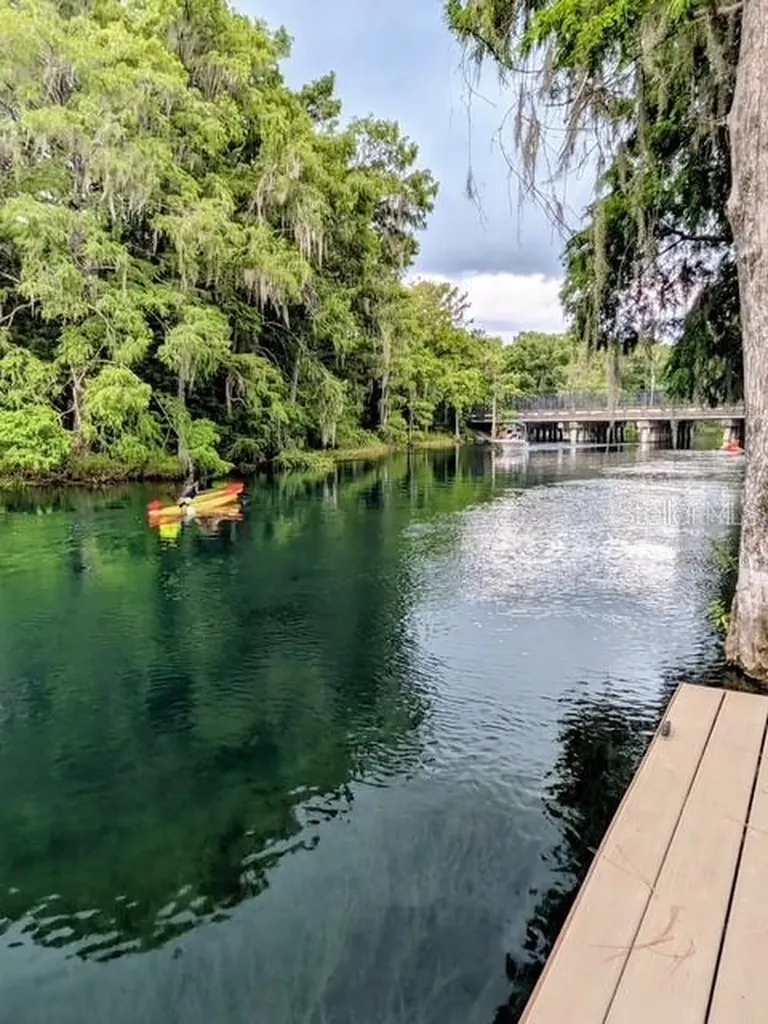 11591 Mockingbird Drive Dunnellon FL 34432