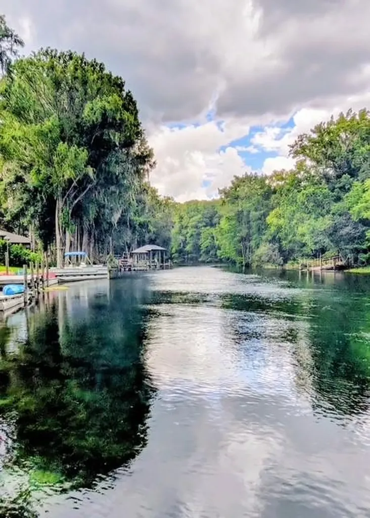 11591 Mockingbird Drive Dunnellon FL 34432