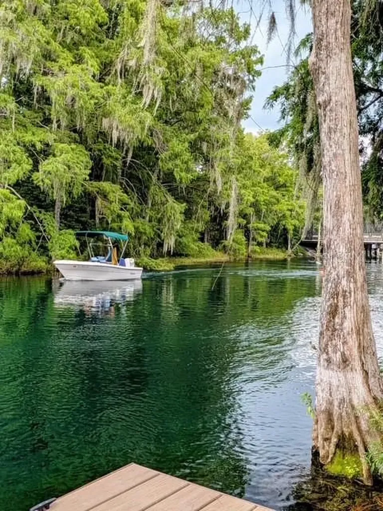 11591 Mockingbird Drive Dunnellon FL 34432