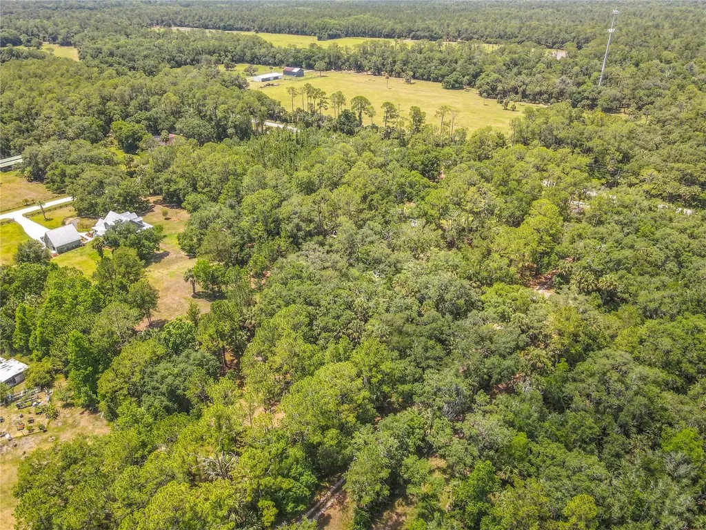 1395 Maytown Road Osteen FL 32764