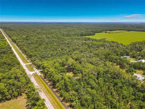 1395 Maytown Road Osteen FL 32764