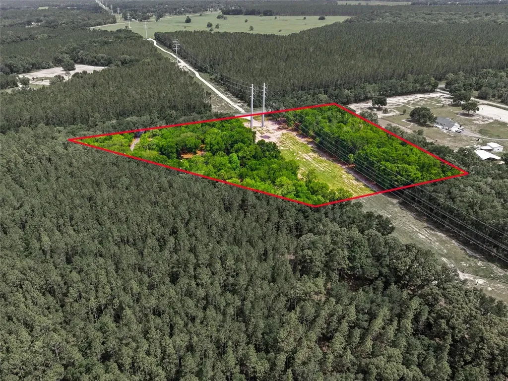 7050 NE State Road 121 Williston FL 32696