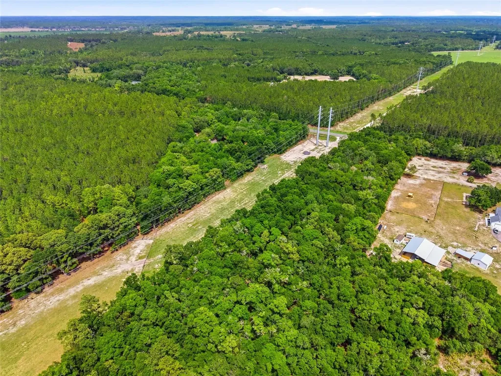 7050 NE State Road 121 Williston FL 32696