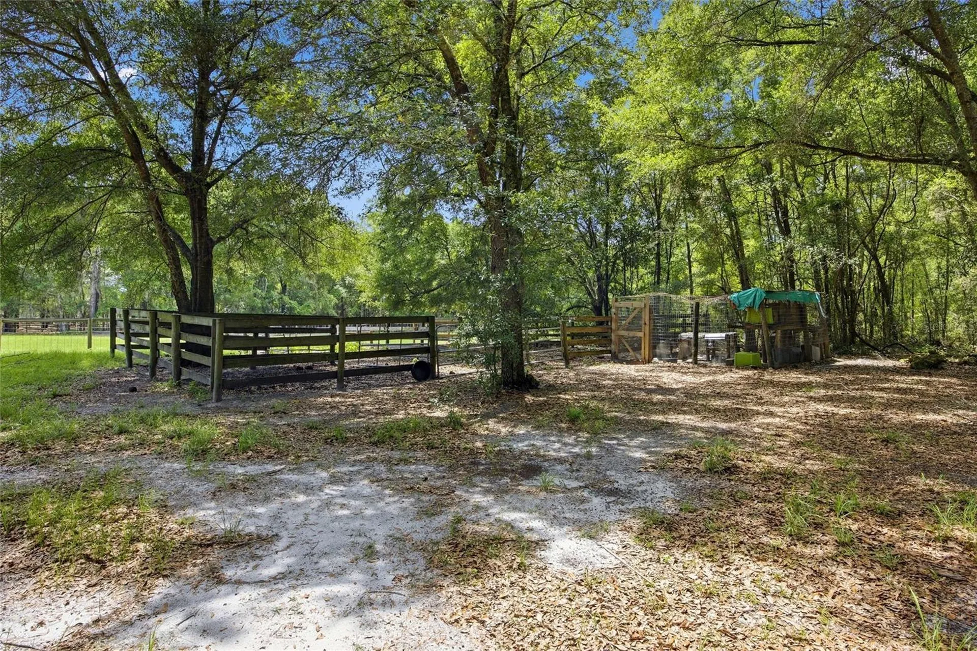 7050 NE State Road 121 Williston FL 32696