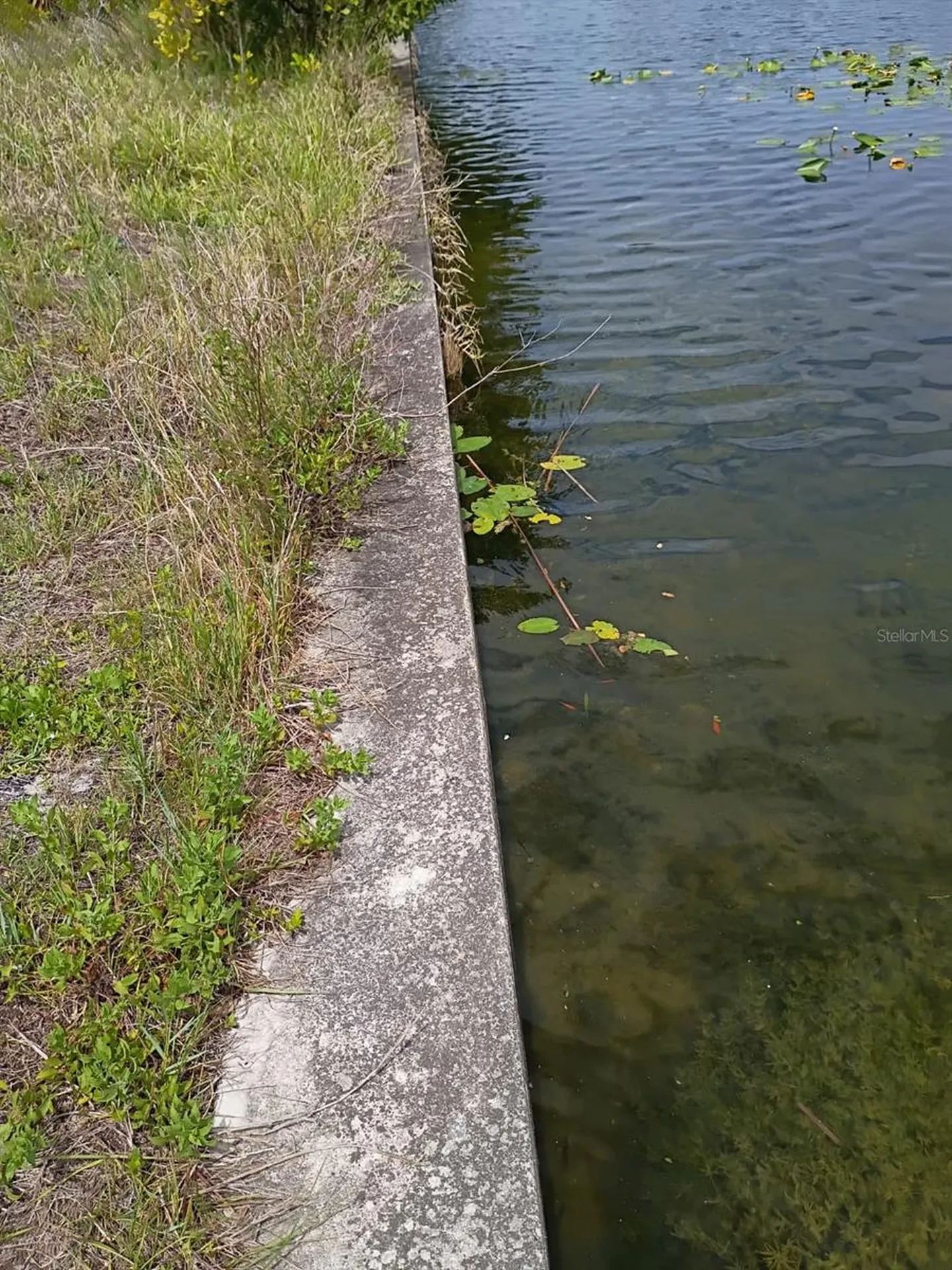 2915 Diplomat Parkway W Cape Coral FL 33993