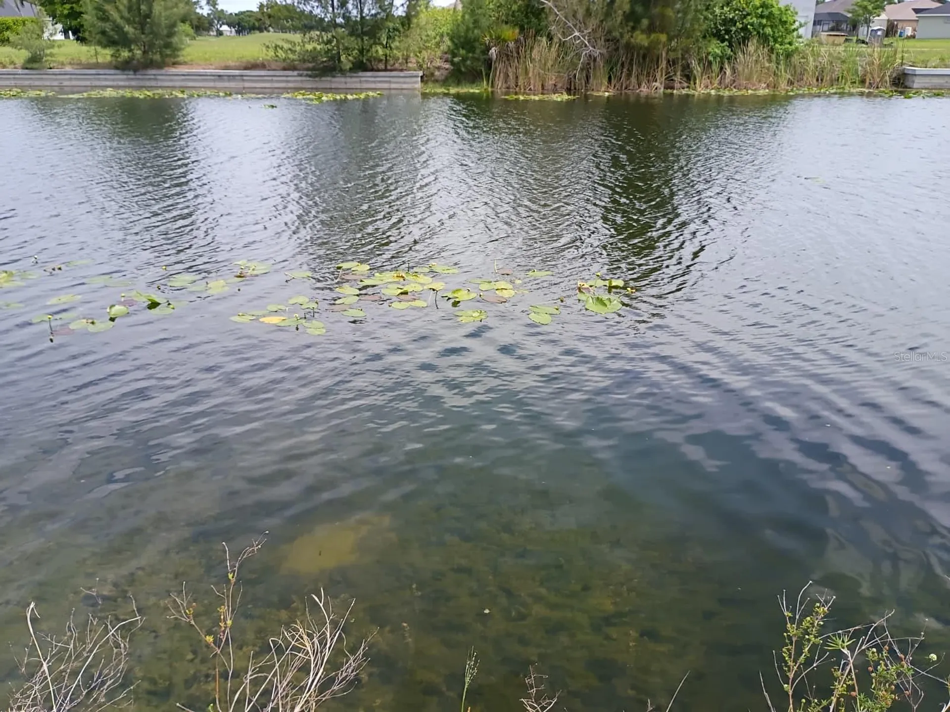 2915 Diplomat Parkway W Cape Coral FL 33993