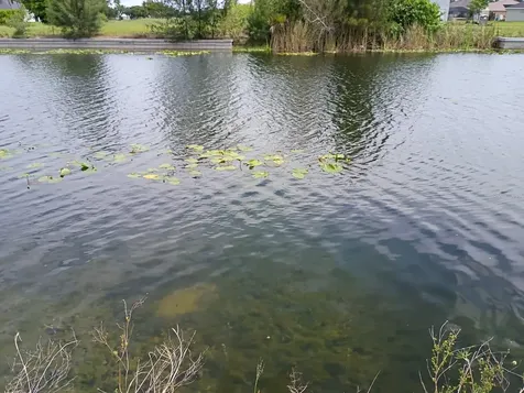 2915 Diplomat Parkway W Cape Coral FL 33993