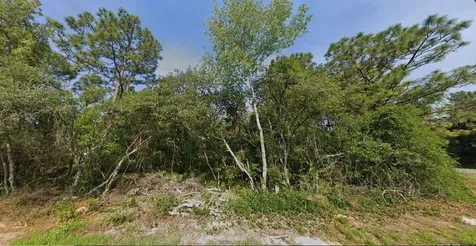 SW 133 Loop Ocala FL 34473