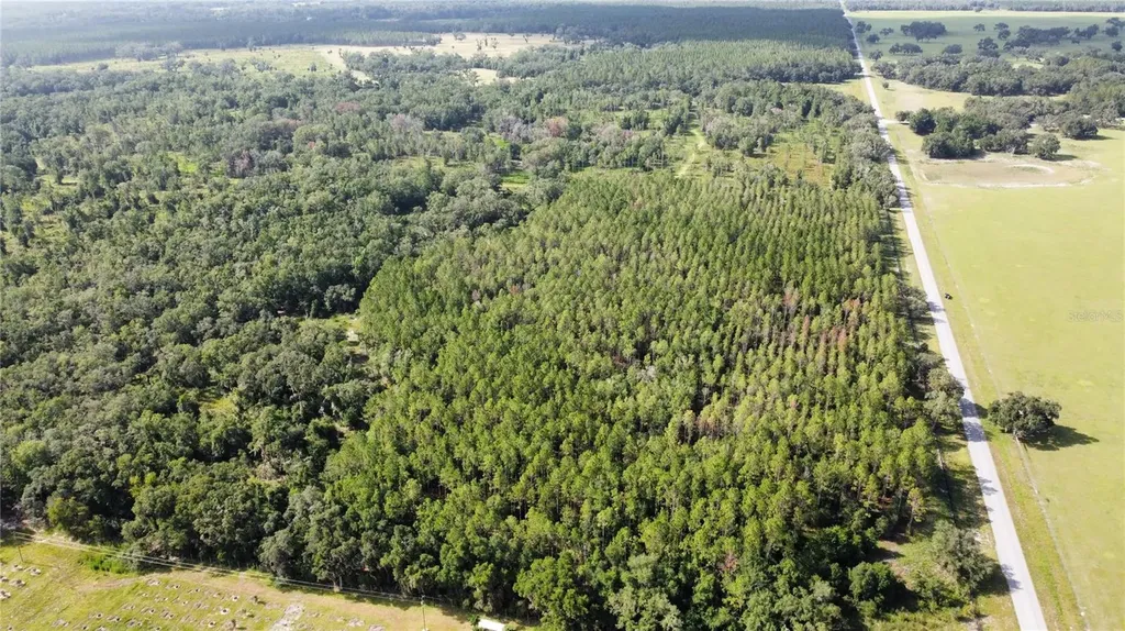 NE Highway 353 Old Town FL 32680