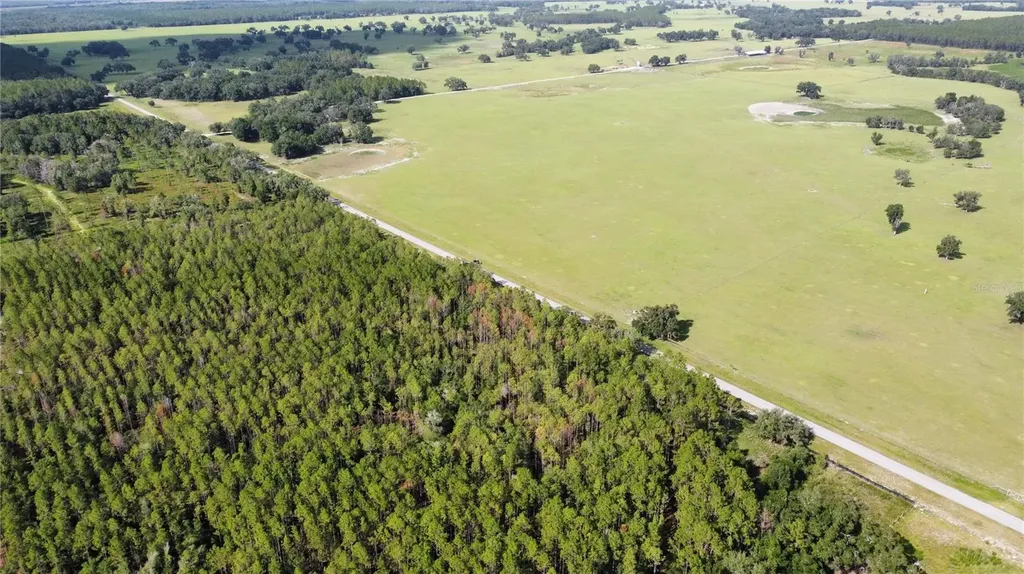 NE Highway 353 Old Town FL 32680
