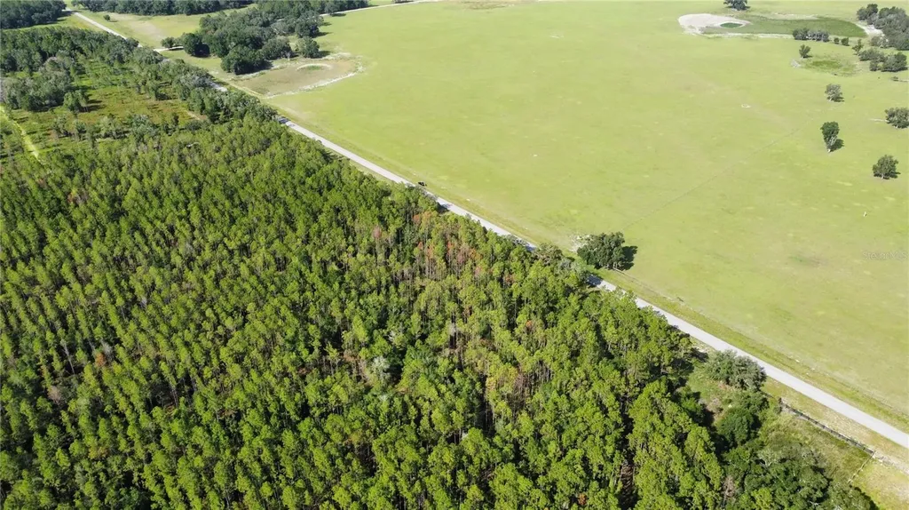 NE Highway 353 Old Town FL 32680