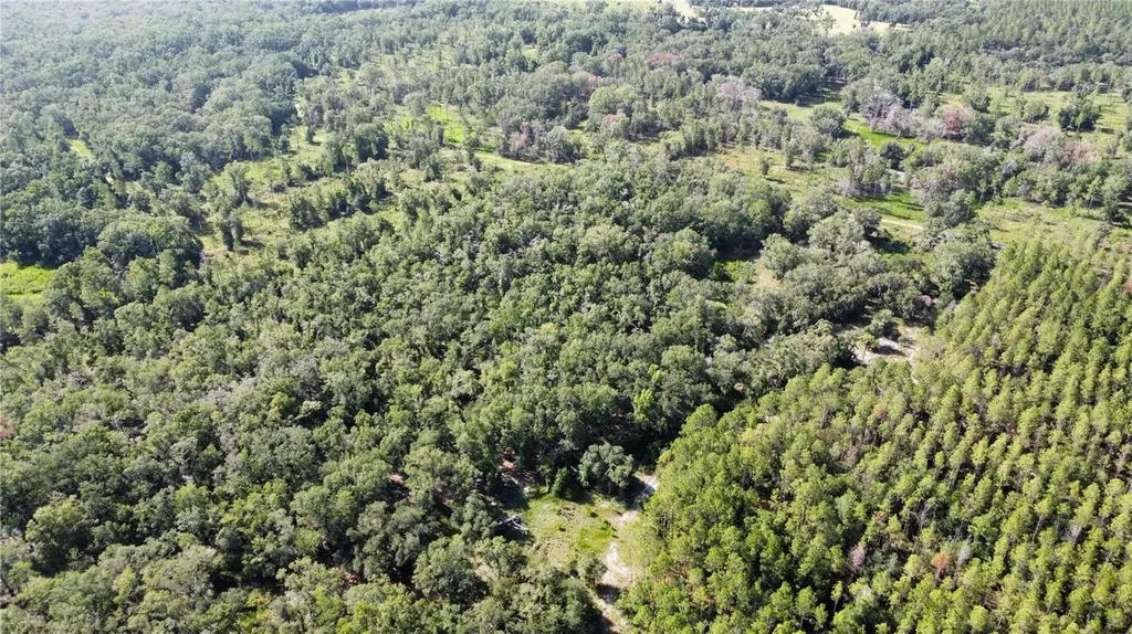 NE Highway 353 Old Town FL 32680