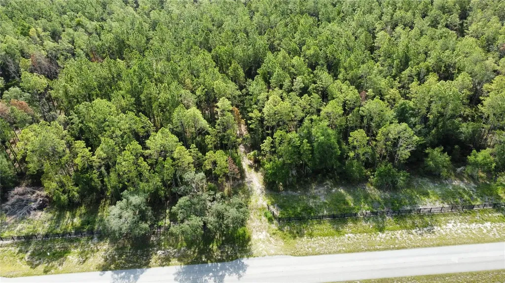 NE Highway 353 Old Town FL 32680