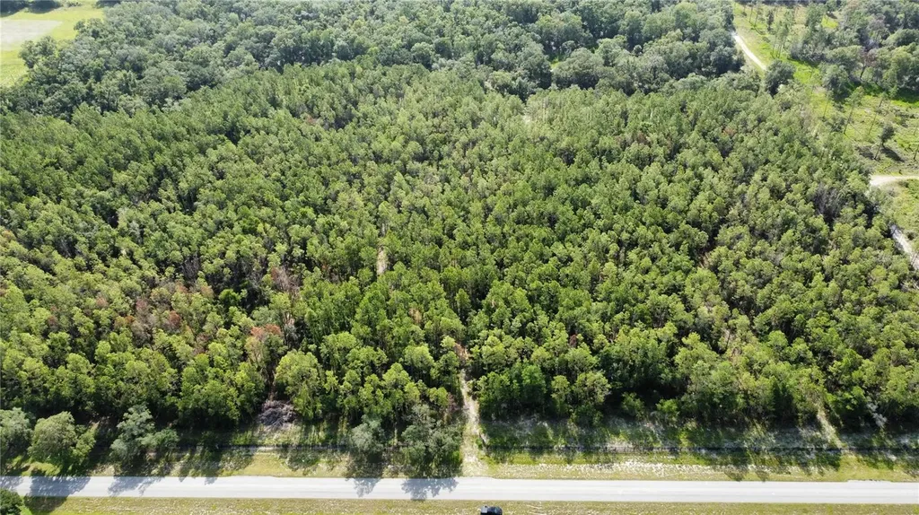 NE Highway 353 Old Town FL 32680