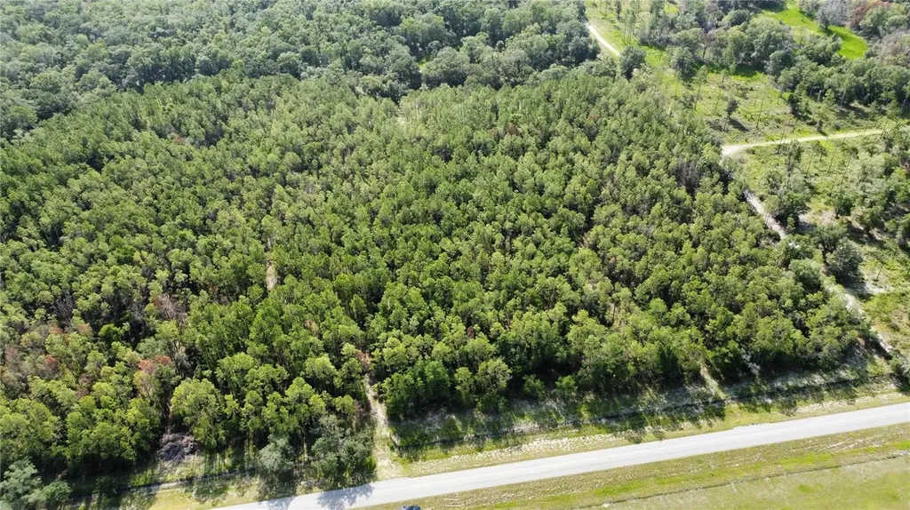 NE Highway 353 Old Town FL 32680