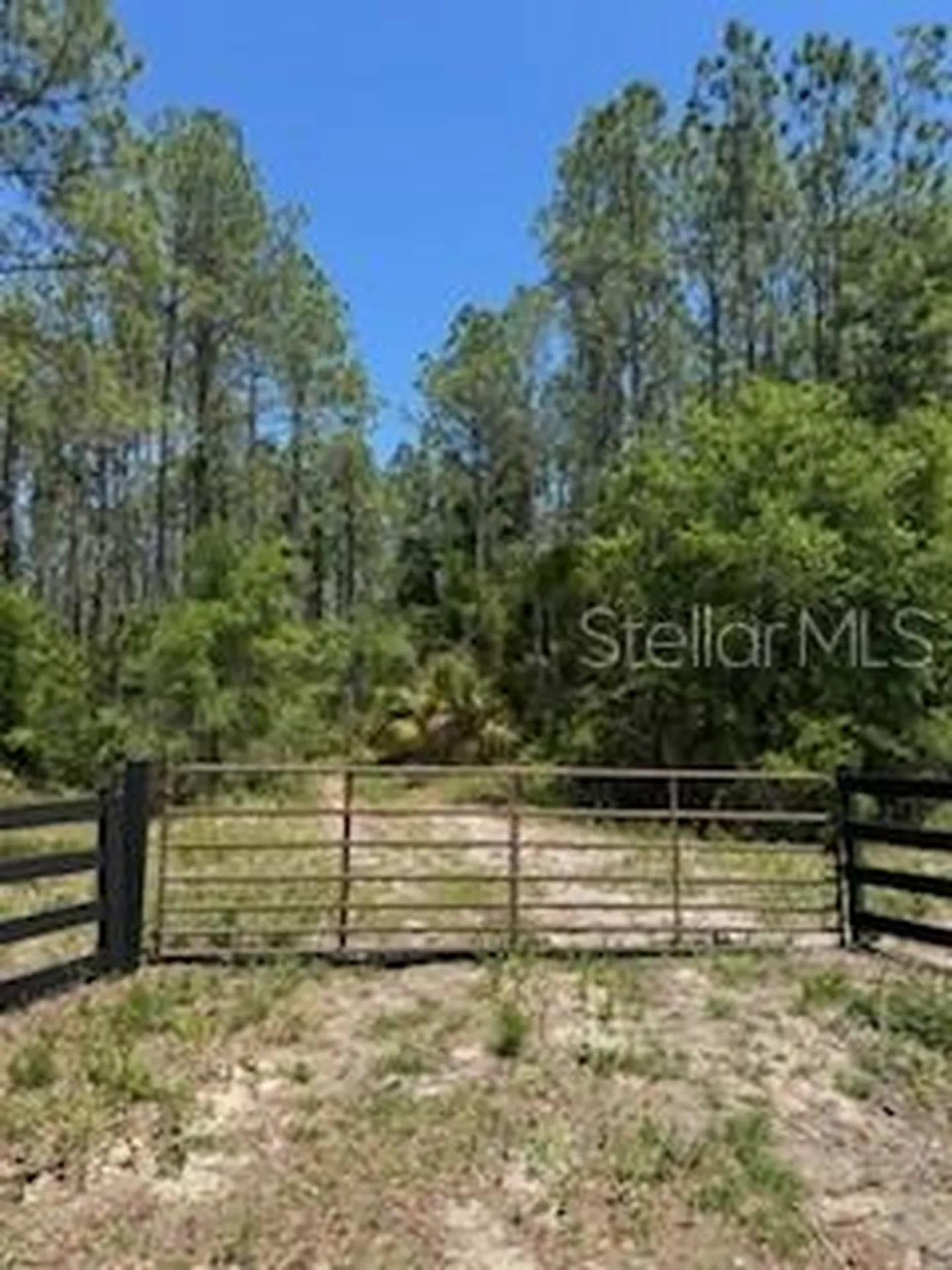 NE Highway 353 Old Town FL 32680