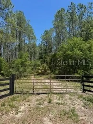 NE Highway 353 Old Town FL 32680