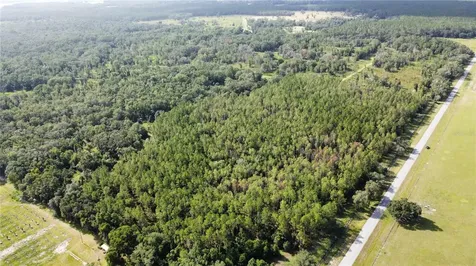 NE Highway 353 Old Town FL 32680