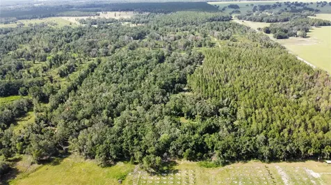 NE Highway 353 Old Town FL 32680