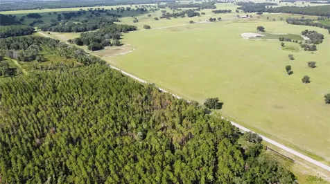 NE Highway 353 Old Town FL 32680