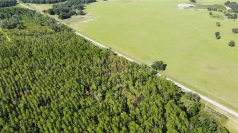 NE Highway 353 Old Town FL 32680