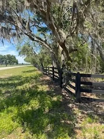 NE Highway 353 Old Town FL 32680