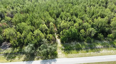 NE Highway 353 Old Town FL 32680