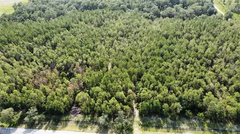 NE Highway 353 Old Town FL 32680