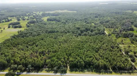 NE Highway 353 Old Town FL 32680