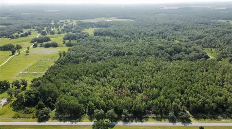 NE Highway 353 Old Town FL 32680