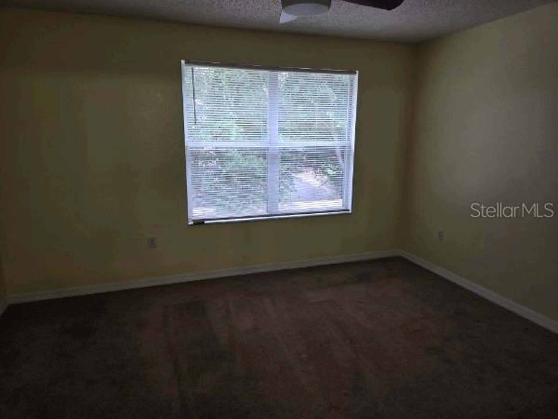 5214 Calabash Place Oviedo FL 32765