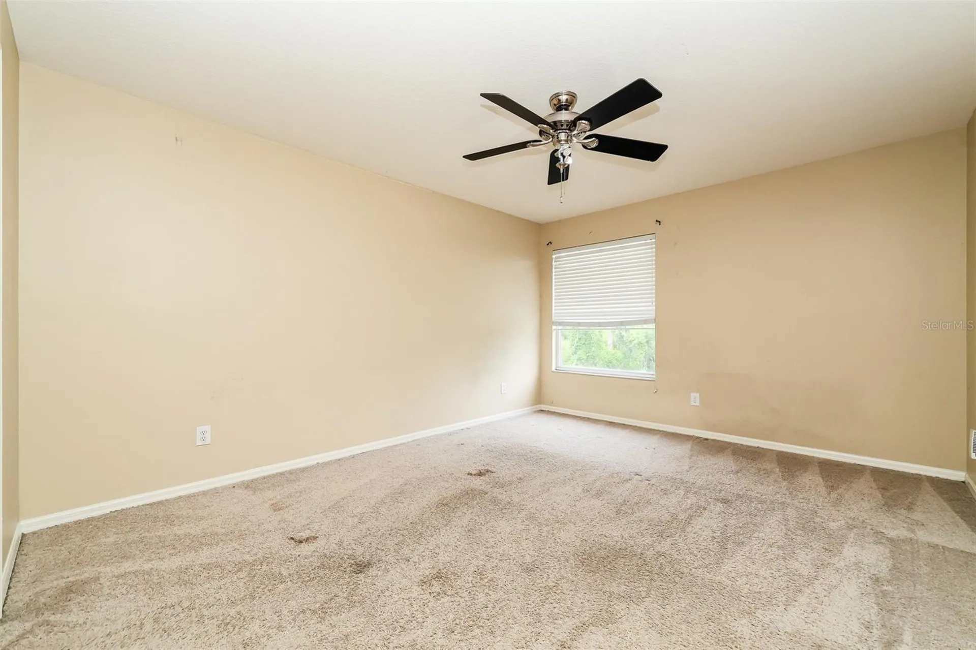 14831 Heronglen Drive Lithia FL 33547