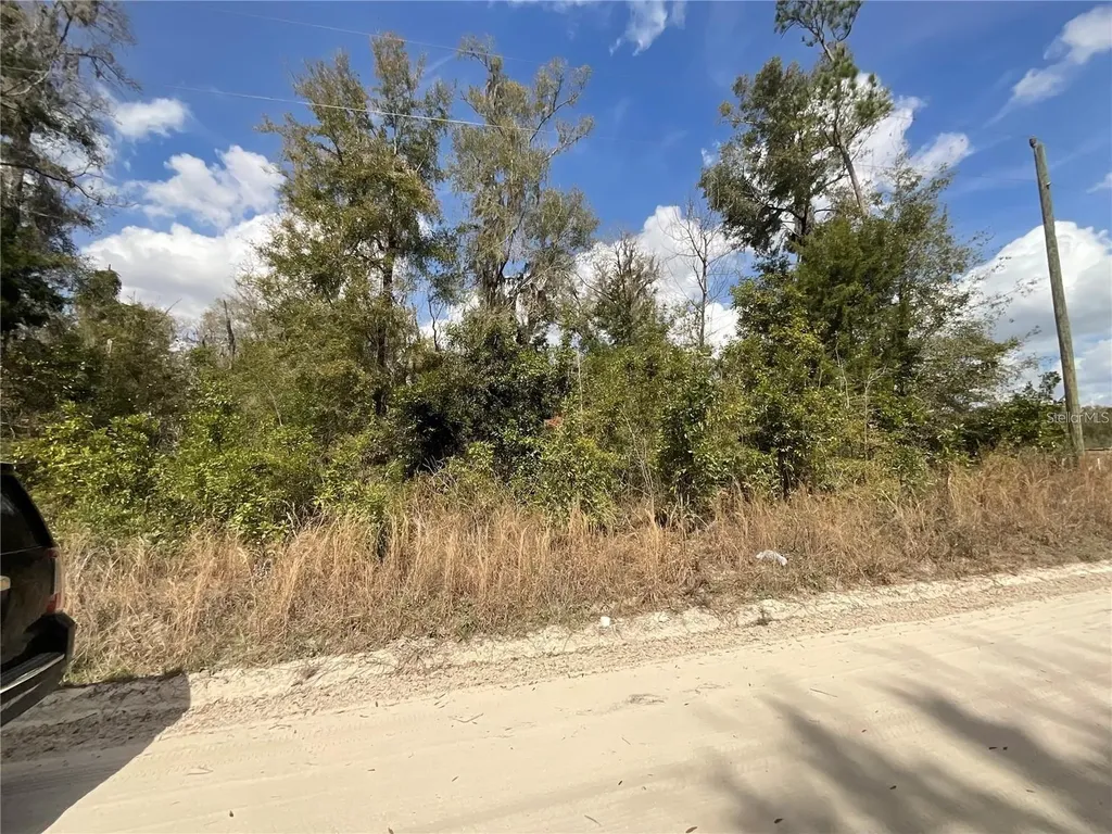 SW Old Spanish Road Fort White FL 32038