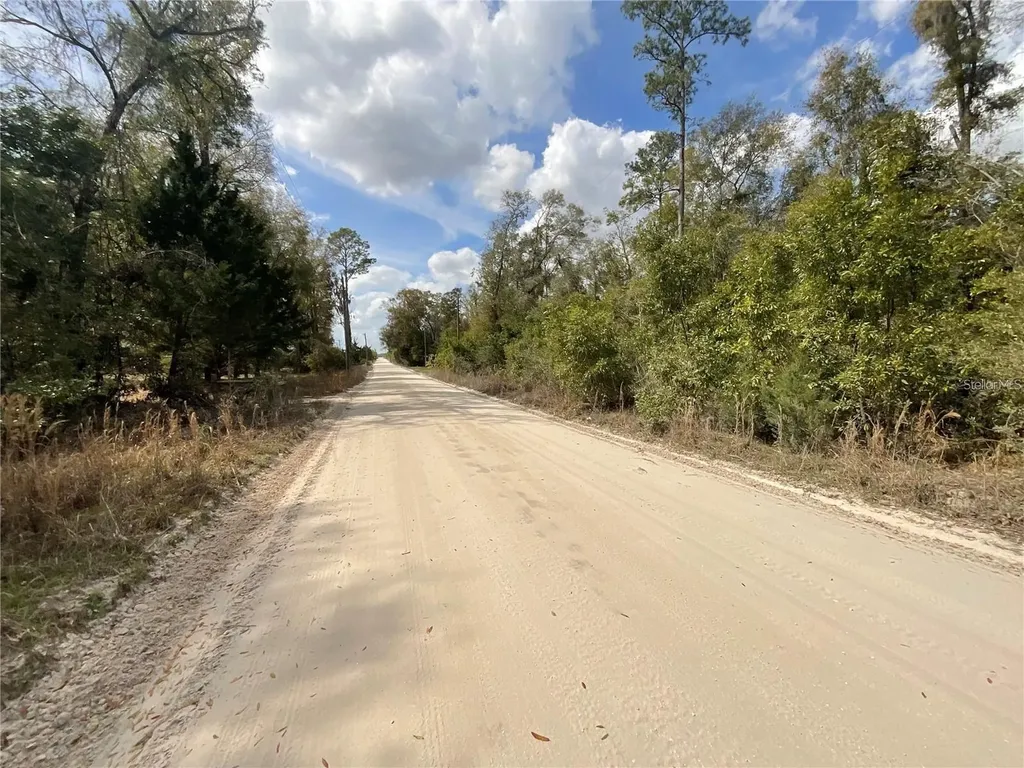 SW Old Spanish Road Fort White FL 32038