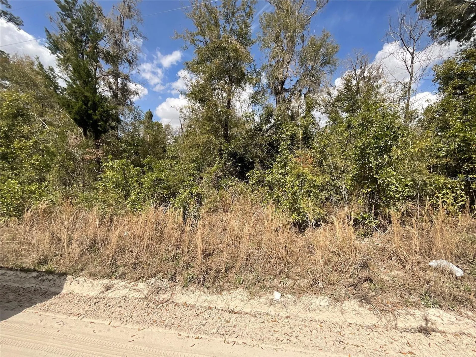 SW Old Spanish Road Fort White FL 32038