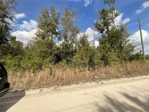 SW Old Spanish Road Fort White FL 32038