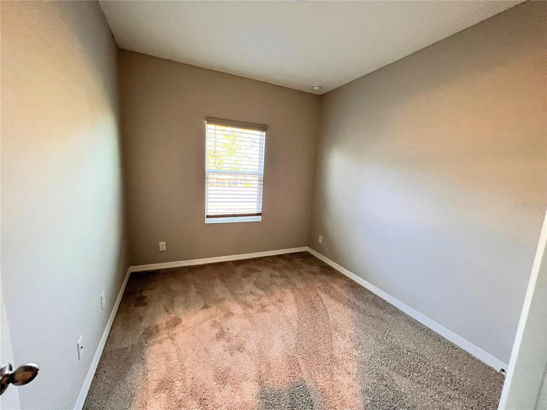 1123 Palma Verde Place Apopka FL 32712