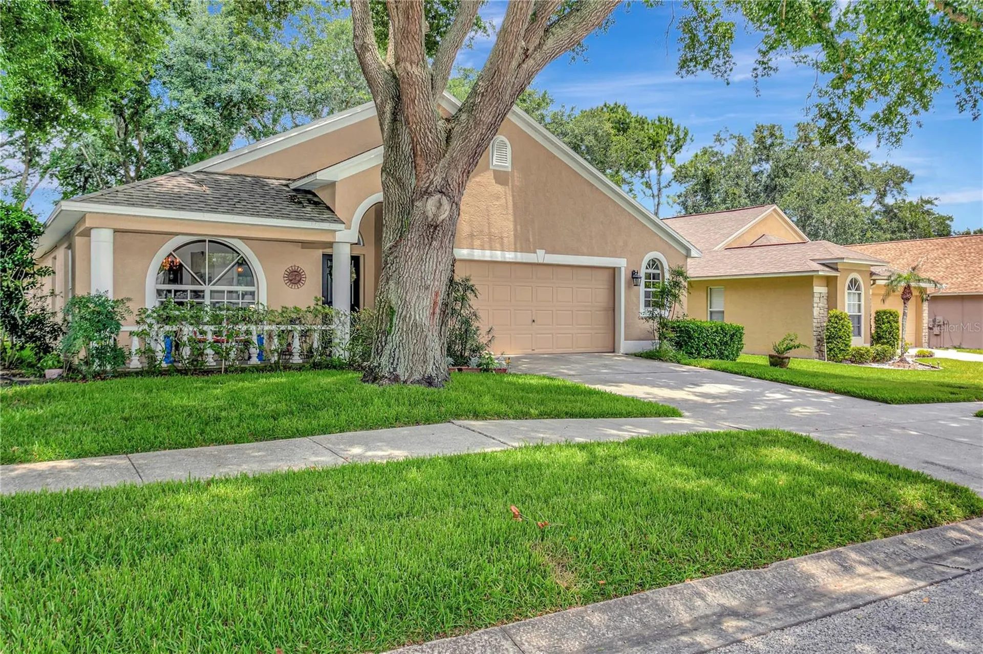 3049 Beaver Pond Trail Valrico FL 33596