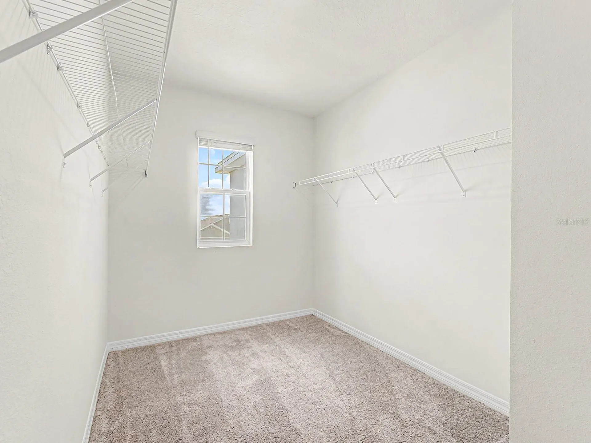 31448 Penny Surf Loop Wesley Chapel FL 33545