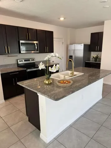 31448 Penny Surf Loop Wesley Chapel FL 33545