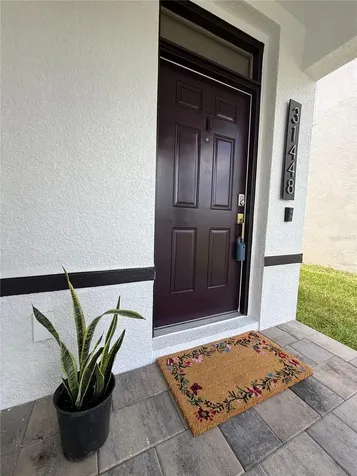 31448 Penny Surf Loop Wesley Chapel FL 33545