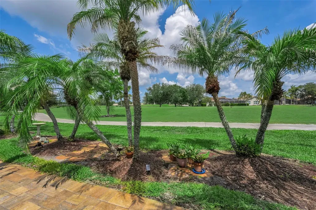 1015 Flora Vista Street New Port Richey FL 34655