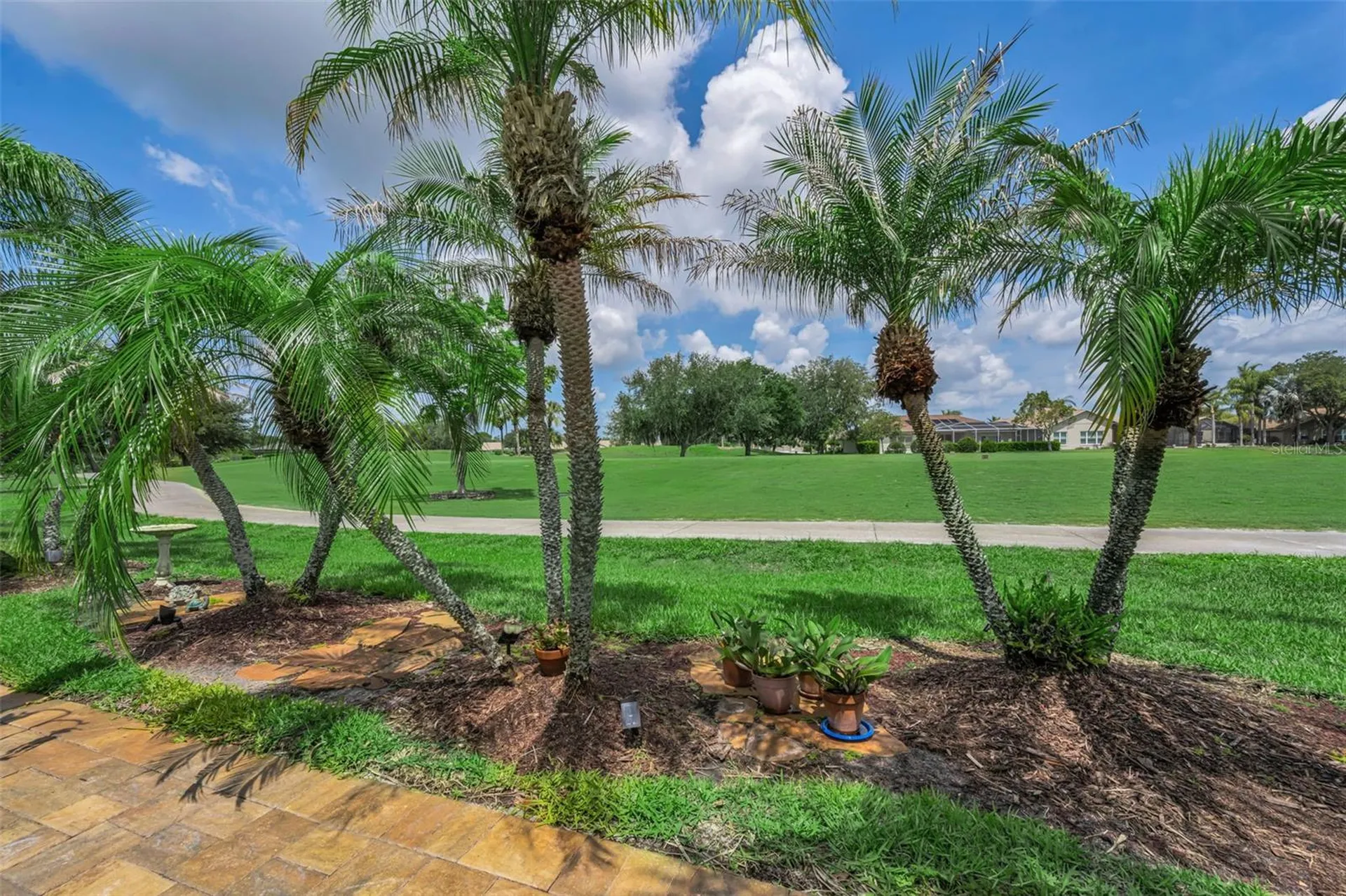 1015 Flora Vista Street New Port Richey FL 34655