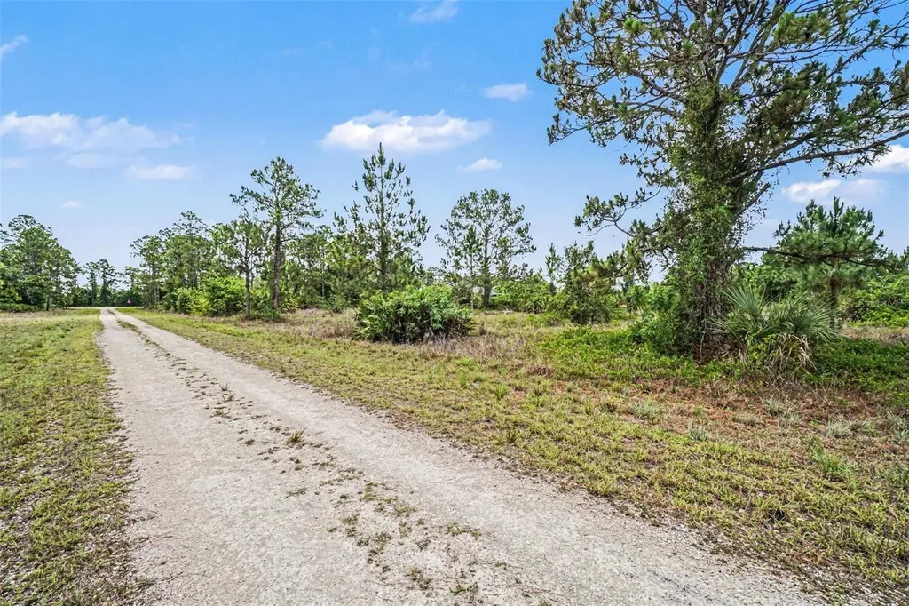 1046 Chandlee Street Lehigh Acres FL 33974
