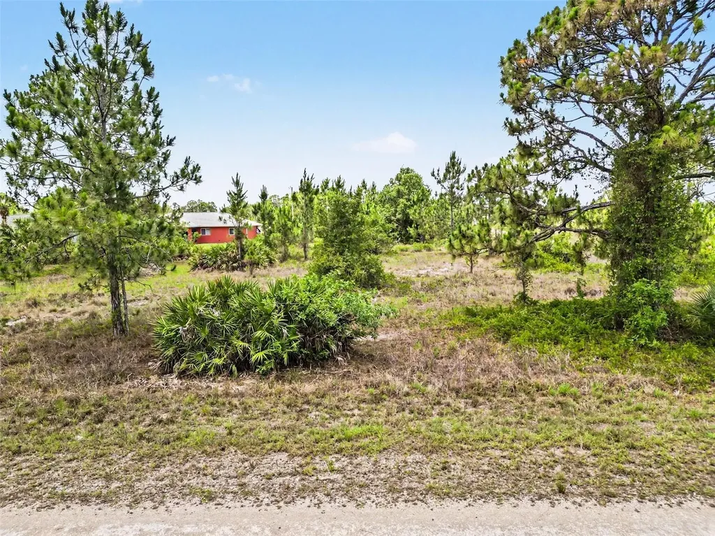 1046 Chandlee Street Lehigh Acres FL 33974
