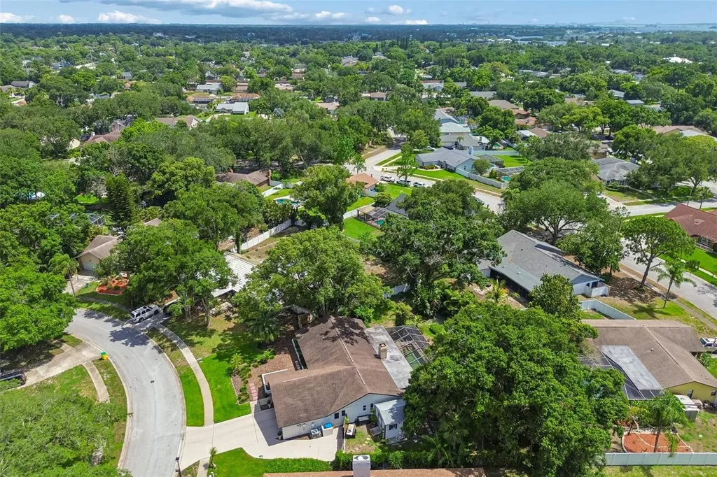 3034 Enisglen Drive Palm Harbor FL 34683