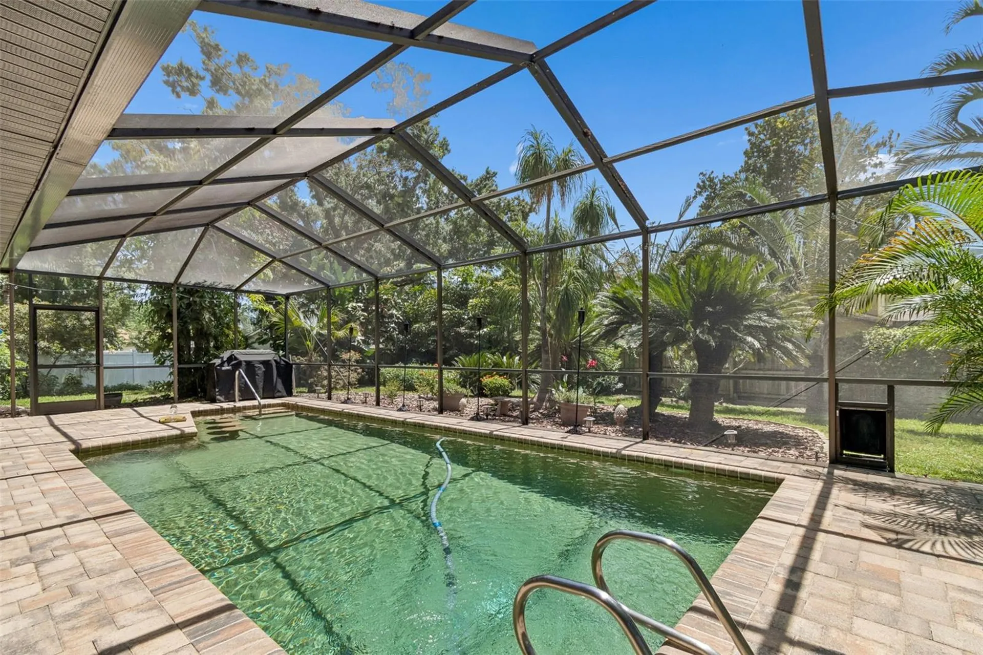 3034 Enisglen Drive Palm Harbor FL 34683