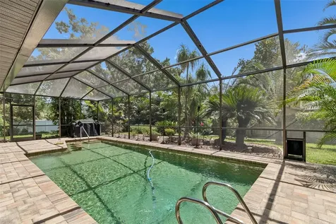 3034 Enisglen Drive Palm Harbor FL 34683