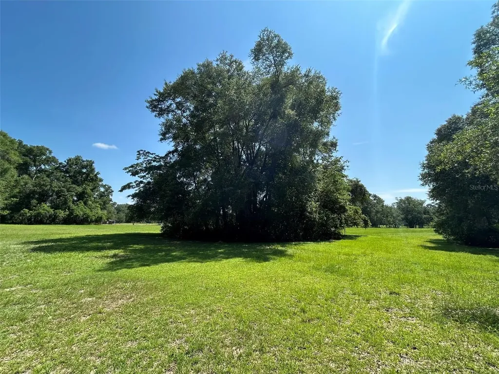 1119 SW 143rd Street Newberry FL 32669