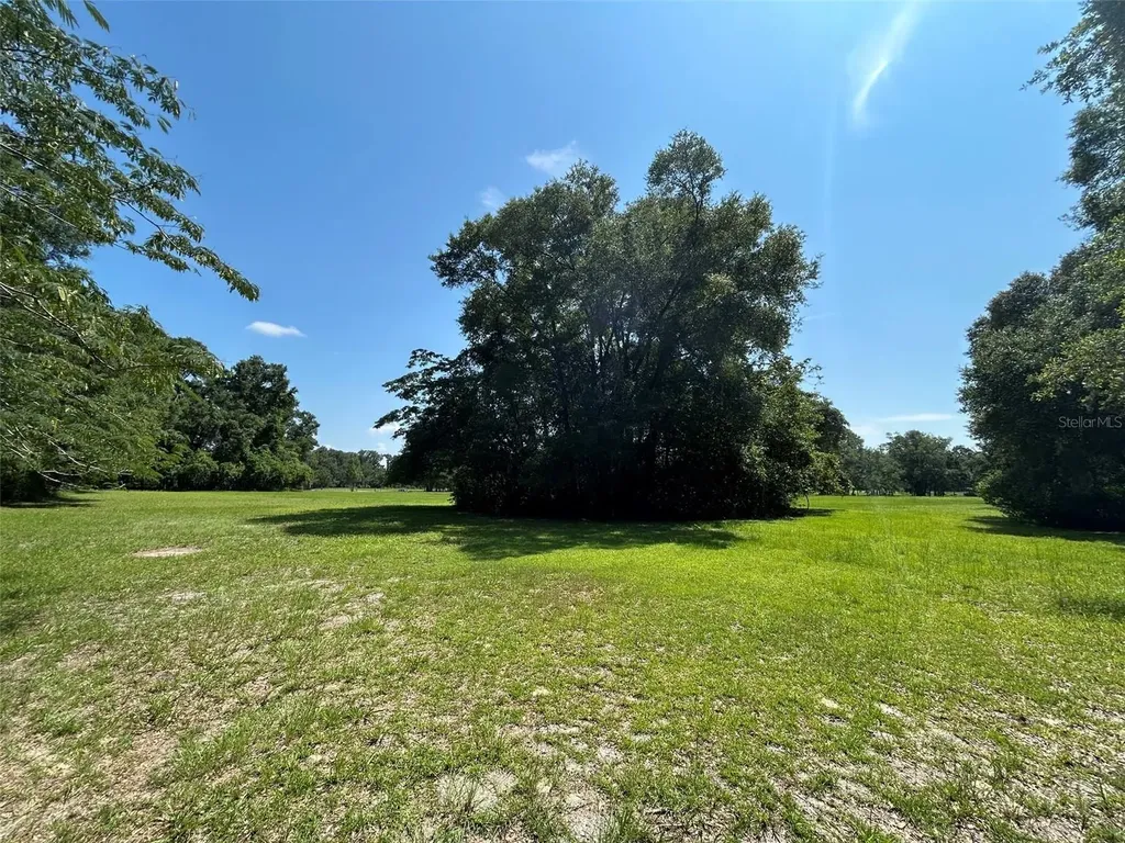 1119 SW 143rd Street Newberry FL 32669